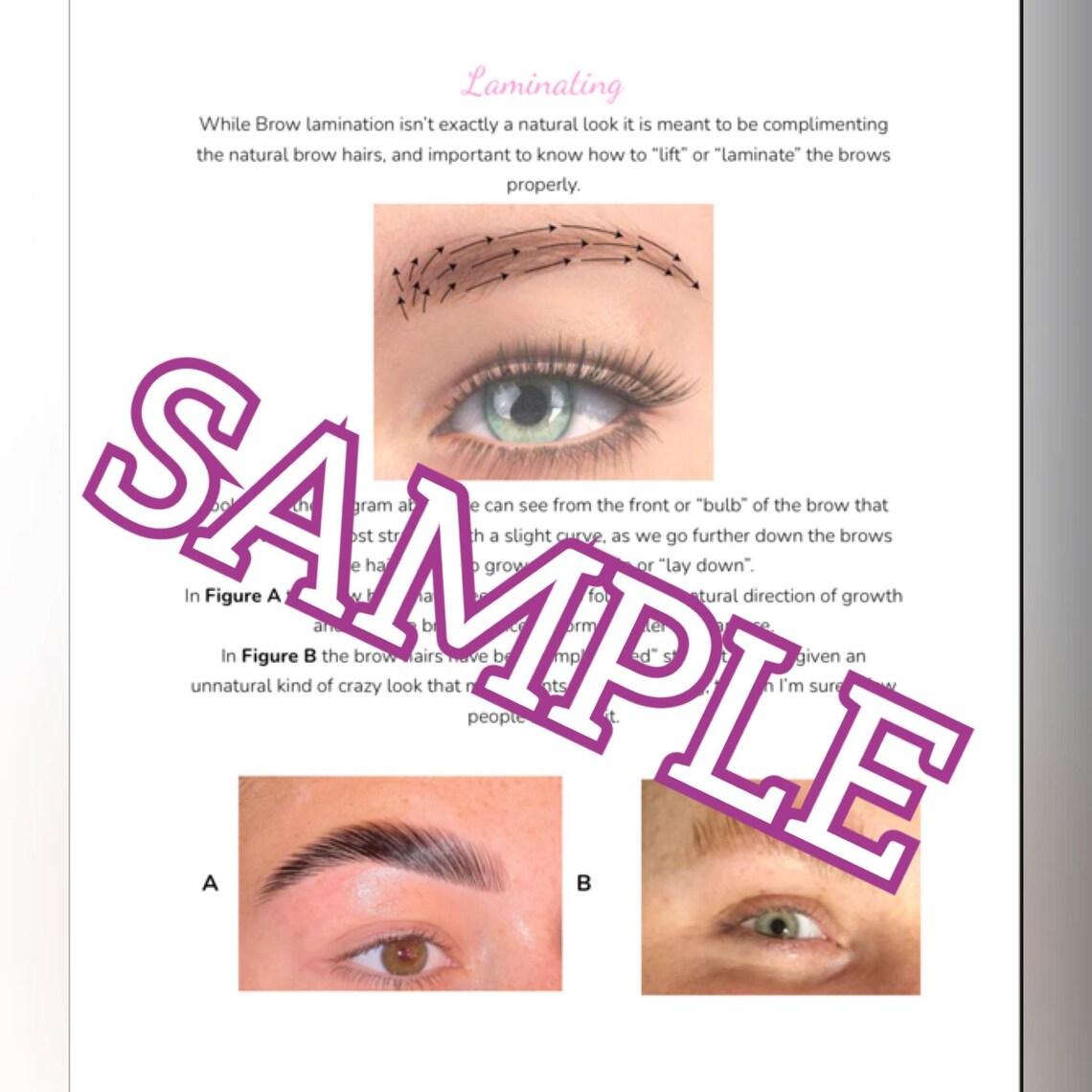 Brow Lamination Training Manual Etsy UK
