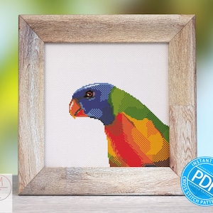 Papagei Kreuzstich Muster | Regenbogen Lorikeet | Lori | Tropisches Muster | Dschungel - Stickmuster | Design - Sofort Download