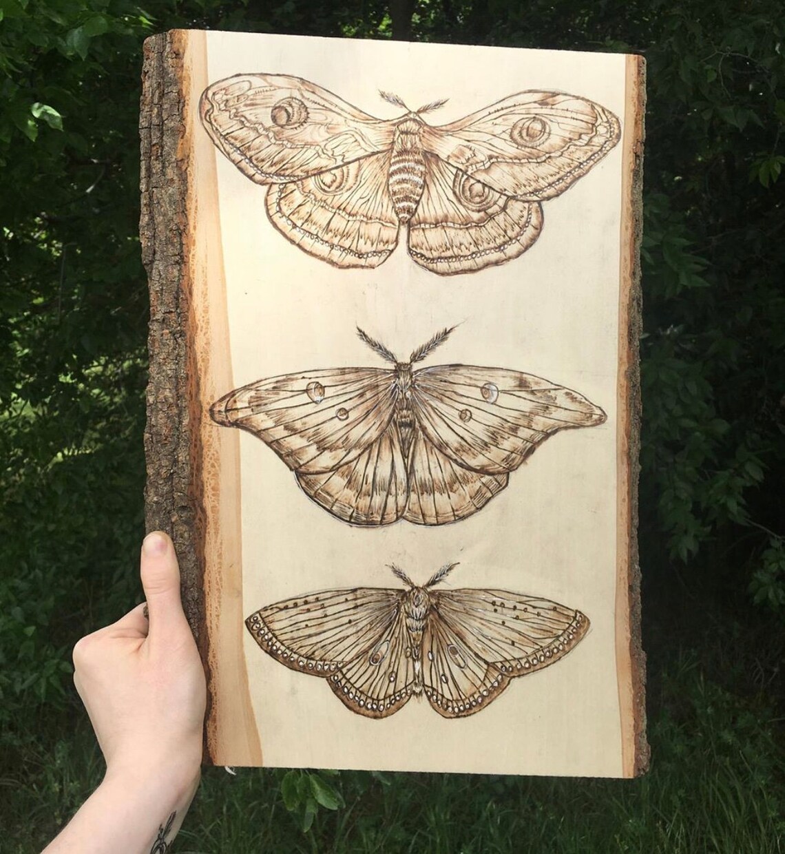 Butterfly wood burning Etsy