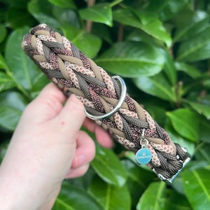 Paracord Collar | Dog Collar | Cat Collar | Cocoa Heaven