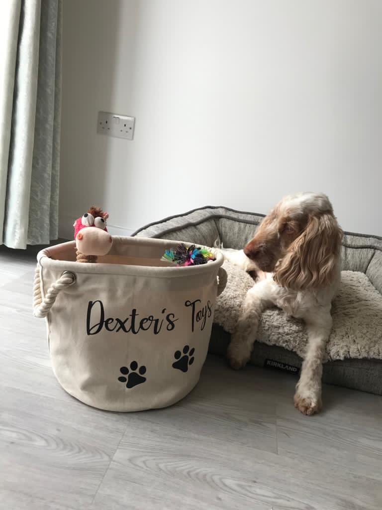 Personalised Dog Toy Storage Basket Durable Cotton Canvas Etsy