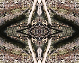 Photography - Art Print - Photo No.13 - Obscura Naturell Photo Project - in three sizes, signed and numbered small edition