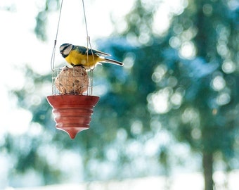 Vetbollenhouder | meesknoedels | Vogelvoeder | Voerdispenser | Vogelvoeding | vogelzaad | Wintervoeding | "SCHOMMEL SWING"