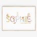 Name picture Birth poster Children's room with animals, personalized, different colors, baby room