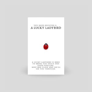 Lucky Ladybird Brooch Pin