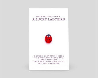 Lucky Ladybird Brooch Pin