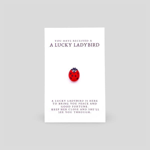 Lucky Ladybird Brooch Pin