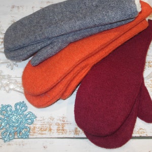 Handschuhe, Fäustlinge, Wollwalker, Plüsch, Winter, warm Bild 2