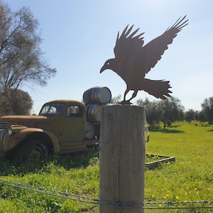 May include: A rusty metal silhouette of a crow perched on a wooden post. The crow is in flight with its wings spread wide. The post is surrounded by green grass and a rusty truck with barrels in the bed.