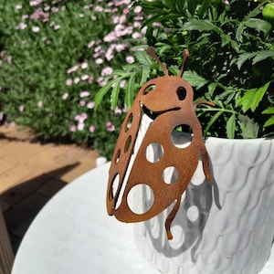 May include: A rusty metal ladybug garden decoration with black spots, perched on a white ceramic planter. The ladybug is a popular garden ornament.
