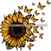 Beautiful Sunflower With Yellow and Black Butterflies Flying Off of It Graphic Image SVG Vector Designs Clipart Cricut Silhouette Cutting 