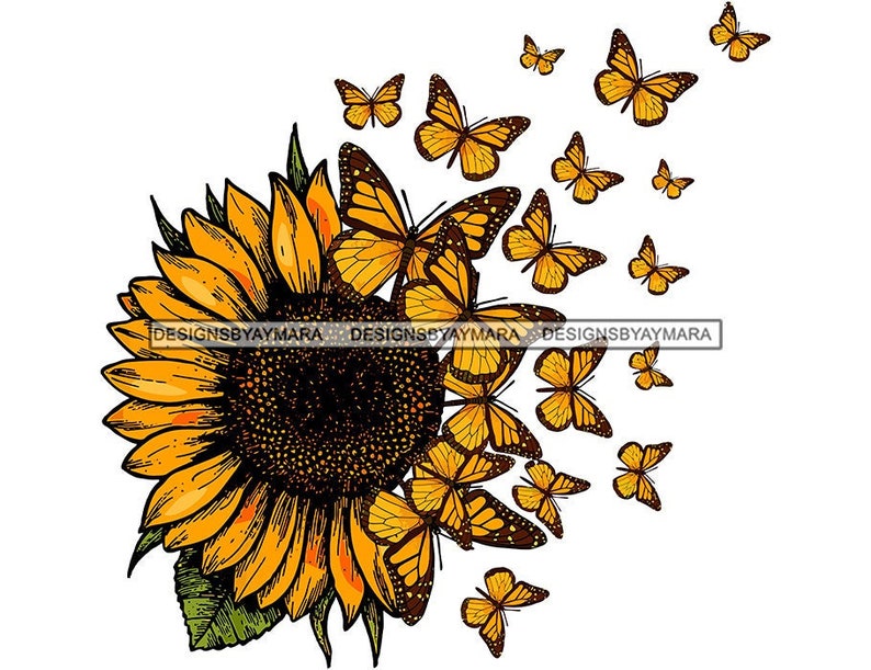 Beautiful Sunflower With Yellow and Black Butterflies Flying Off of It Graphic Image SVG Vector Designs Clipart Cricut Silhouette Cutting 