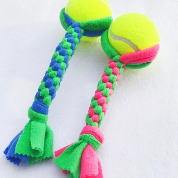 Fetch Toy with Tennis Ball