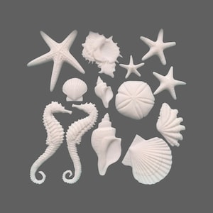 IOD Sea Shells Appliqués - furniture appliques - decorative resin appliques - decorative resin appliques  - furniture moldings