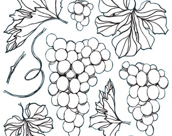 IOD Grapes 12x12 Decor Stamp