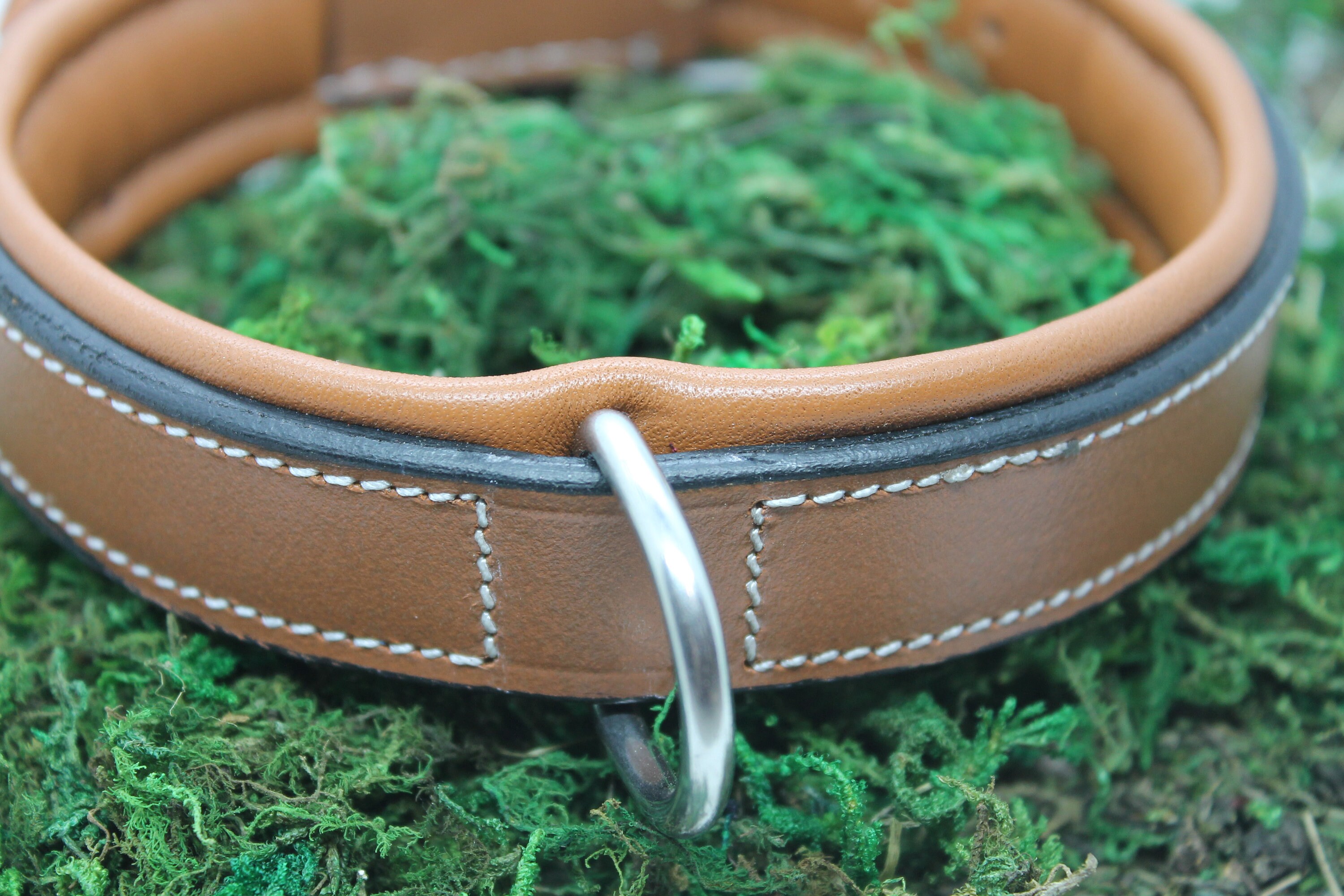 Leather Dog Collar Padded Dog Collar Genuine Leather Etsy