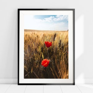 Stampa Fine-Art con Paesaggio Estivo, Campo di Grano, Papaveri, Carta Fotografica Qualità Museale, Wall Art, Wall Decor, Paesaggio Rurale
