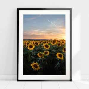 Stampa Fine-Art con Paesaggio Estivo, Campo di Girasoli, Carta Fotografica Qualità Museale, Wall Art Wall Decor, Natura, Rurale, Campagna