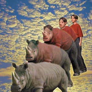 ANIMORPHS #16: THE WARNING art print, signed and numbered by the artist