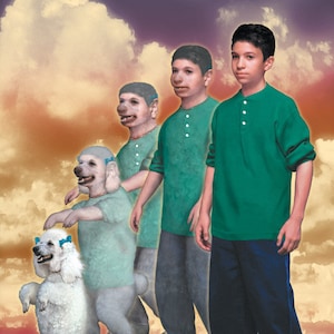 ANIMORPHS #35: THE PROPOSAL art print, signed and numbered by the artist