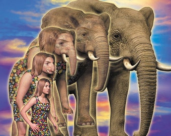 ANIMORPHS #42: THE JOURNEY art print, signed and numbered by the artist