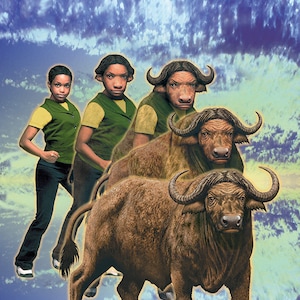ANIMORPHS #39: THE HIDDEN art print, signed and numbered by the artist