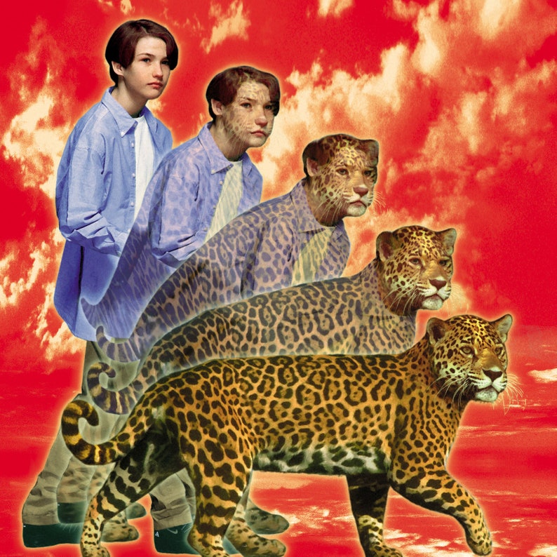 May include: A collage of four images featuring two young men and two jaguars. The men are wearing blue shirts and are partially obscured by the jaguars. The jaguars are in various poses, with one standing on its hind legs and another lying down. The background is a red and white cloudy sky.