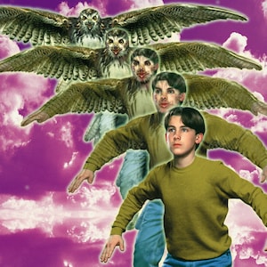 May include: A young person with brown hair and a green shirt is surrounded by multiple images of a hawk with brown and white feathers. The background is a purple and white cloudy sky.