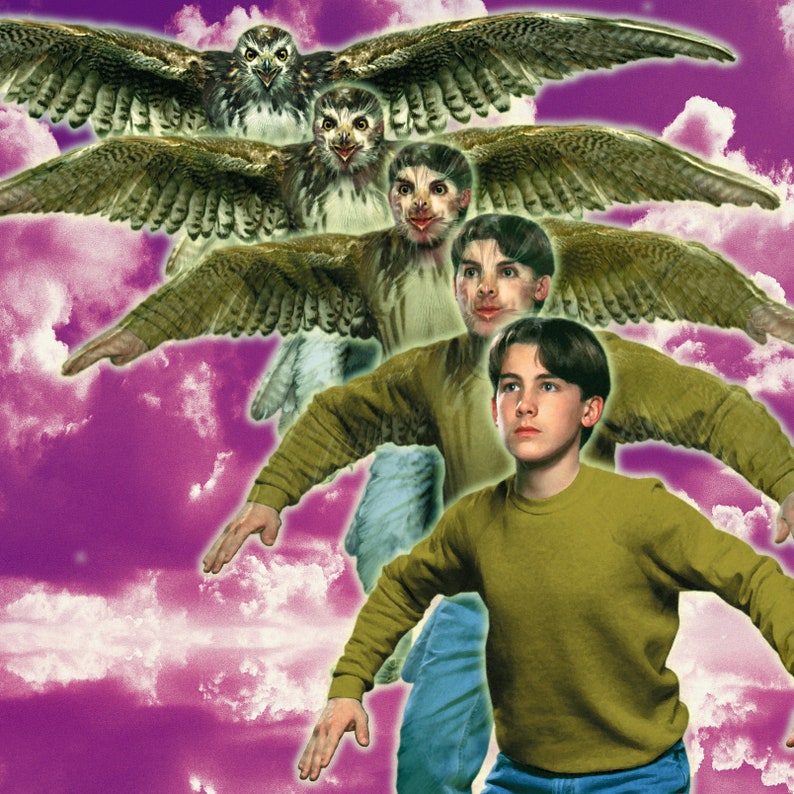 May include: A young person with brown hair and a green shirt is surrounded by multiple images of a hawk with brown and white feathers. The background is a purple and white cloudy sky.