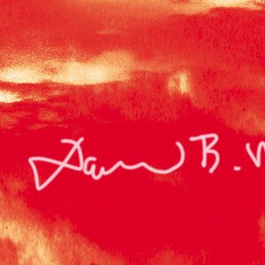 May include: A red watercolor painting with a white signature that reads "Dawn B. Martin 18/50".