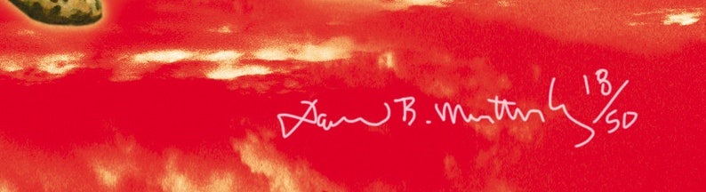 May include: A red watercolor painting with a white signature that reads "Dawn B. Martin 18/50".