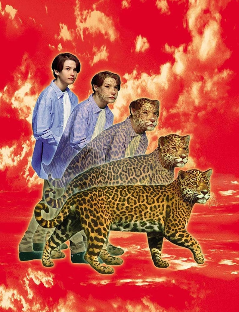 May include: A collage of four images, transitioning from a person to a jaguar. The first image shows a person with short brown hair wearing a light blue button-down shirt. The second image shows the person's face morphing into a jaguar's face. The third image shows the person's body morphing into a jaguar's body. The fourth image shows a full jaguar walking on a red and white cloudy background.