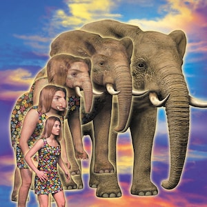 ANIMORPHS #42: THE JOURNEY art print, signed and numbered by the artist