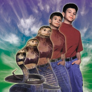 ANIMORPHS #20: THE DISCOVERY art print, signed and numbered by the artist