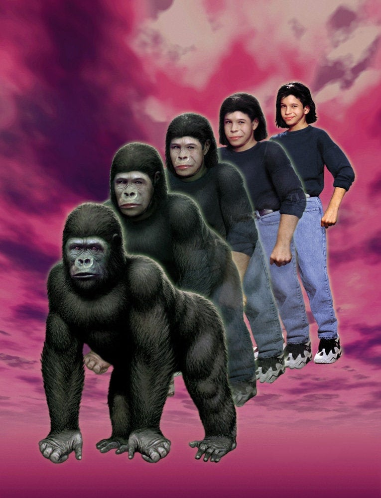 ANIMORPHS #05: THE PREDATOR Art Print, Signed by the Artist - Etsy