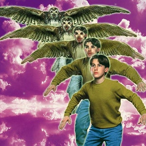 ANIMORPHS #13: THE CHANGE art print, signed and numbered by the artist