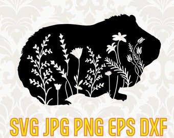Download 46+ Guinea Pig Svg Free PNG Free SVG files | Silhouette ...