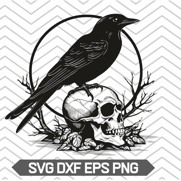 Crow on a skull svg, skull crow svg, raven skull svg, raven silhouette, human skull clipart