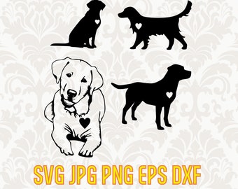 Labrador Svg Etsy