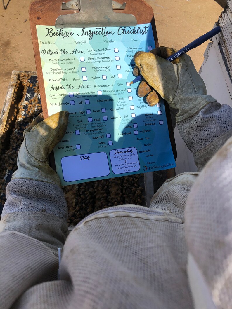 White & Green Hexagon Beehive Inspection Checklist ~ Beekeeping Notes ...