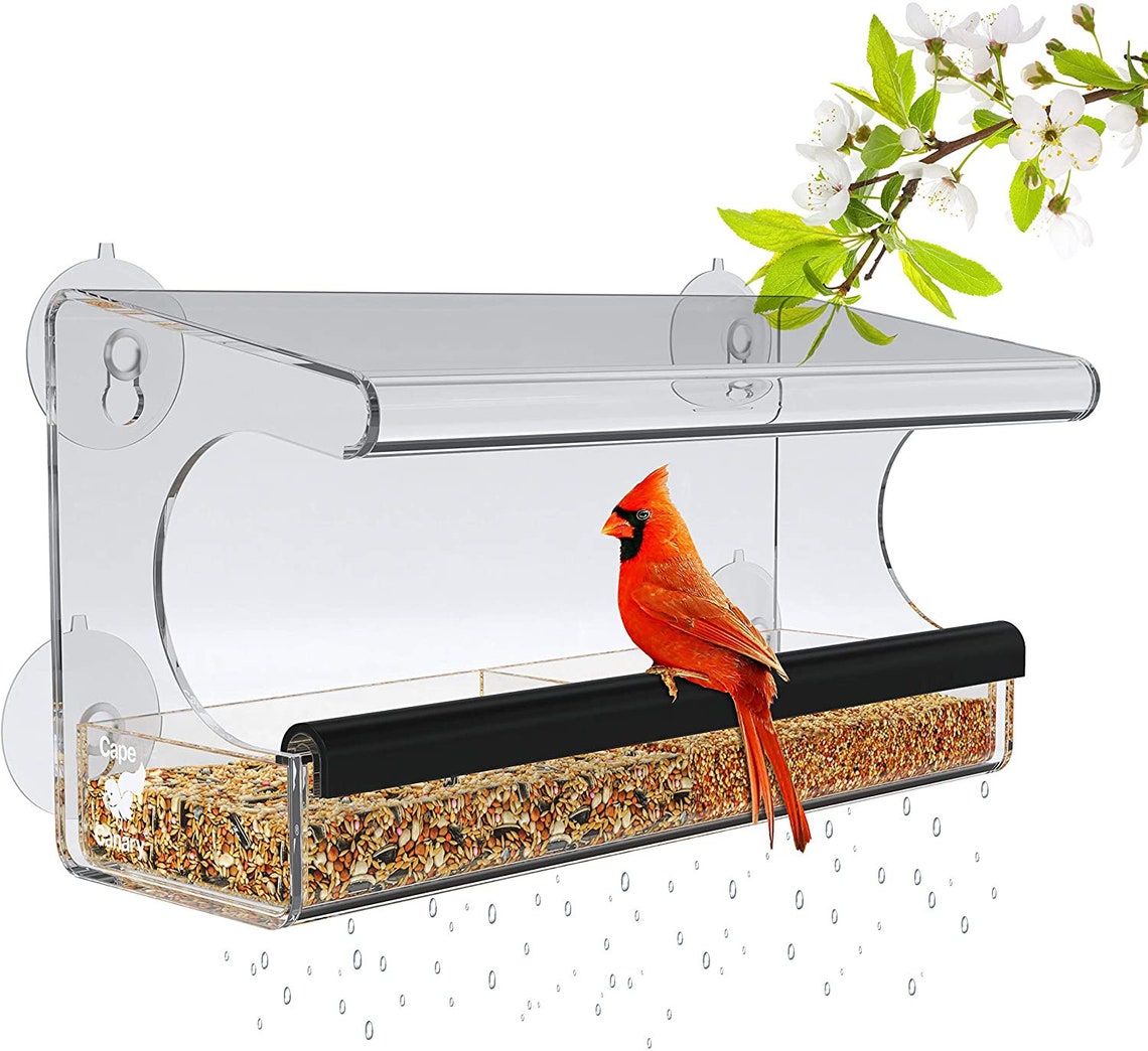 Window Bird Feeder for Outside With Strong Suction Cups Removable Tray