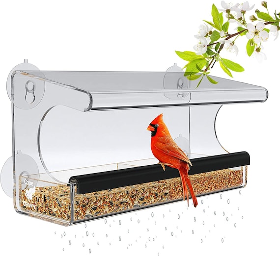 Window Bird Feeder for Outside With Strong Suction Cups Removable Tray Easy  to Clean, Drain Holes, Crystal Clear Acrylic 2 Ebooks Included 