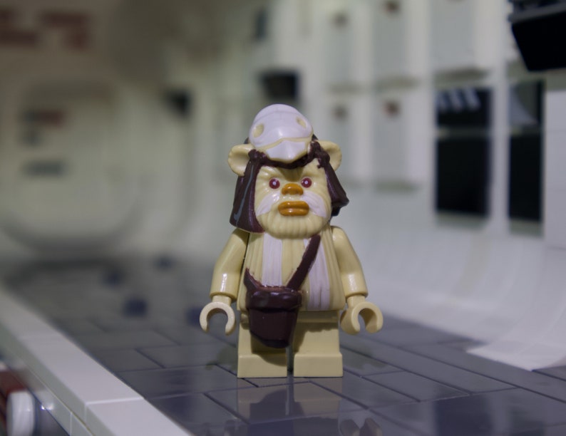 logray lego