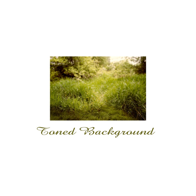 Summer BackgroundPhotoshop BackgroundTransparent PNGSpring BackgroundGrass OverlayNature BackgroundMeadow BackgroundPNG PNG Overlay