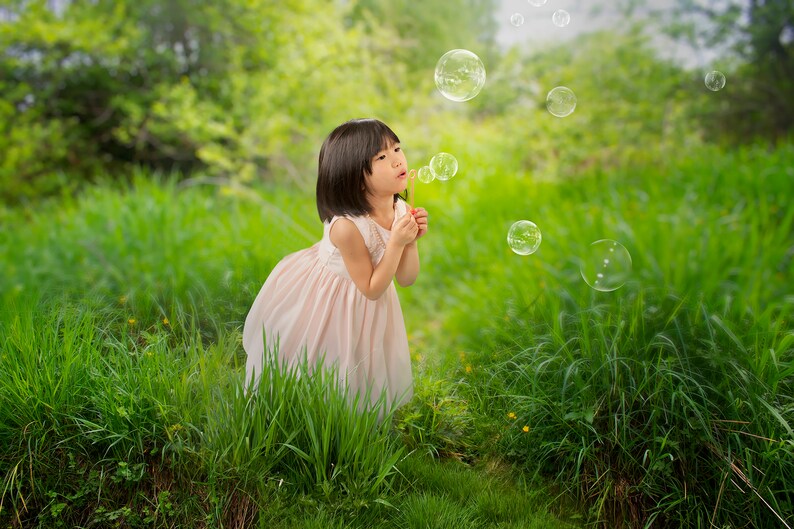 Summer BackgroundPhotoshop BackgroundTransparent PNGSpring BackgroundGrass OverlayNature BackgroundMeadow BackgroundPNG PNG Overlay
