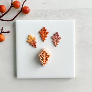 May include: Four leaf-shaped objects in shades of orange, yellow, and pink are arranged on a white square. A larger leaf shape is at the bottom. A branch with orange berries is in the upper left corner.