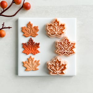 May include: Six maple leaf-shaped cookie cutters and cookies in shades of orange and brown. The cookies are on a white surface, with a sprig of orange berries in the background. Perfect for fall baking.