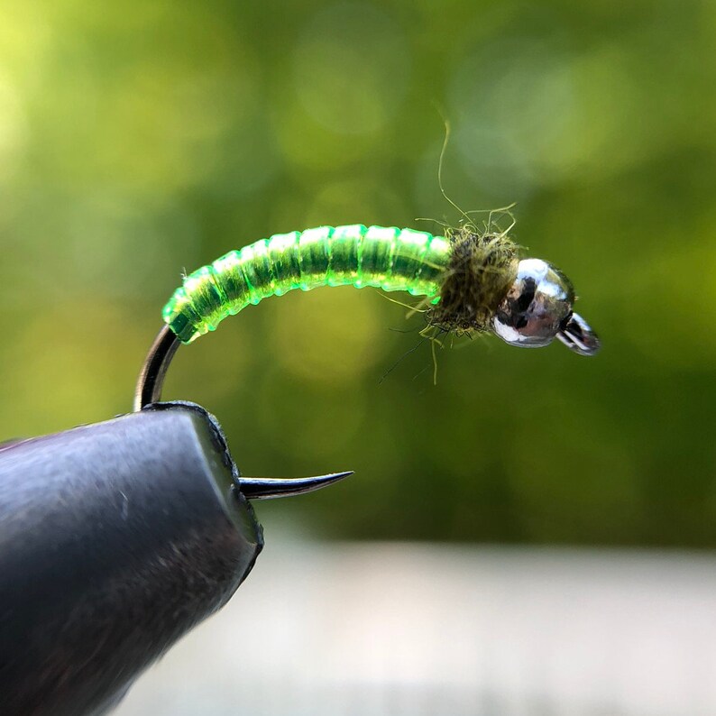 3 Green Caddis Larva 3 Count. Euro Nymph. Fly Fishing. Etsy