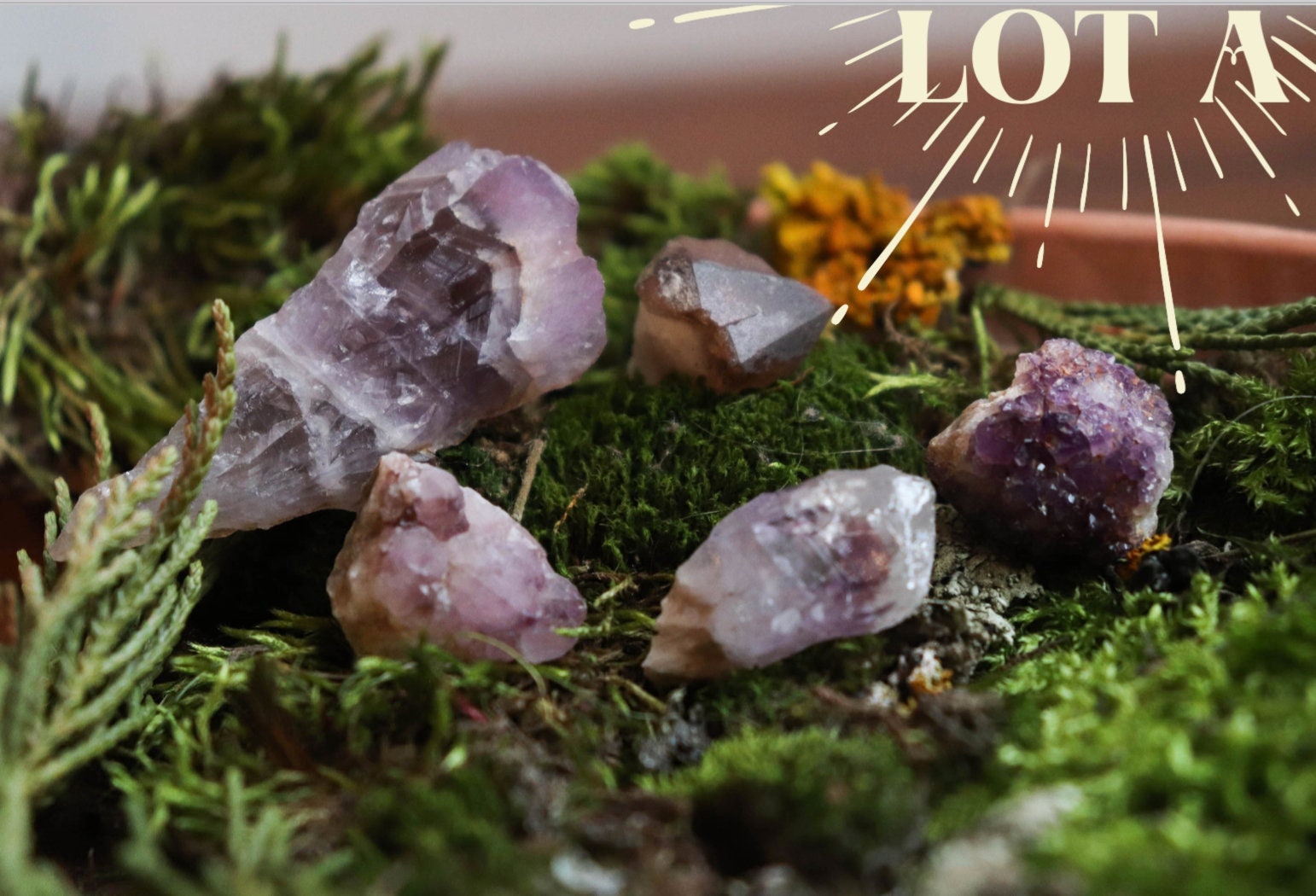 Amethyst Lots | Sustainably Sourced From Brittany, France, Crystals, Metaphysical, Multiple Options,