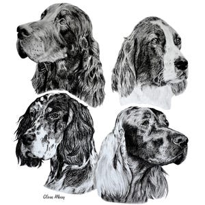May include: A black and white pencil drawing featuring four portraits of dogs, each with a different coat pattern. The dogs are depicted in profile, showcasing their distinct facial features and fur textures. The artist's signature, "Olivia Moon," is visible.